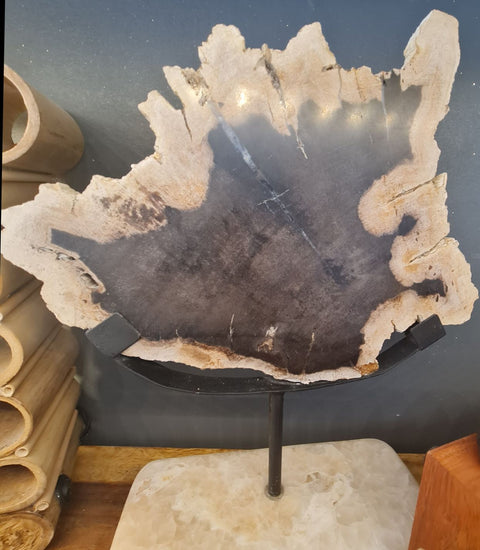 FOSSILIZED WOOD ON STAND